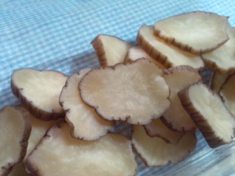 ���֤꤬�ä�