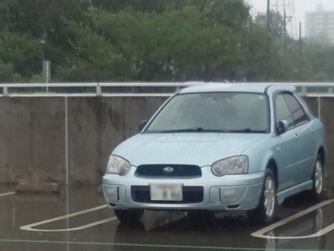 ������λ