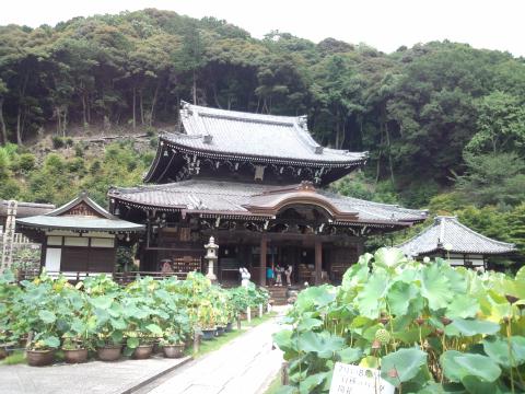 �����ͻ�