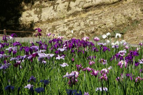 �־Գ������