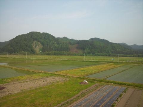 �ı�����