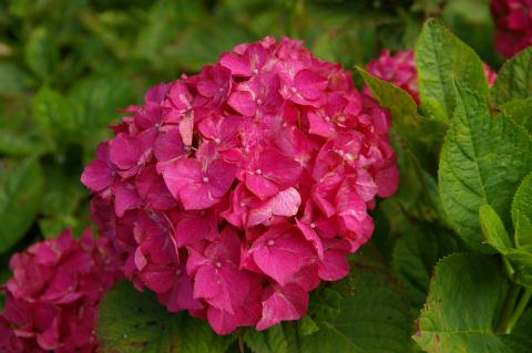 ���۲֡����ܲ줷�礦�ֱ�