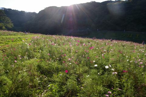 ����Ϥ޲֤ι�