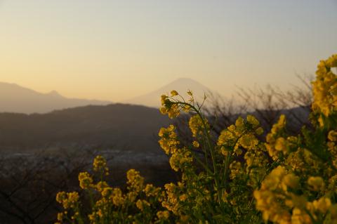 �ڤβ֤��ٻλ�