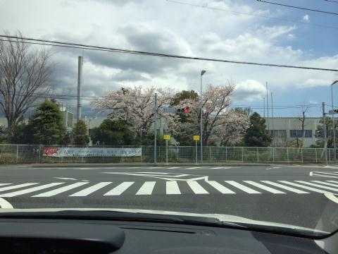 ������IC