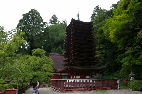 �̻����ҽ�������