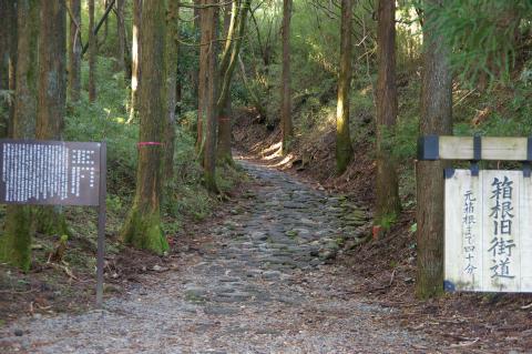 箱根旧街道石畳 箱根旧街道石畳
