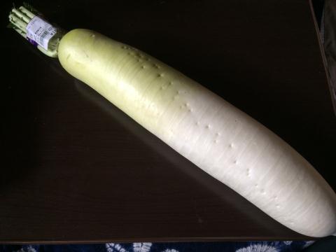 纬