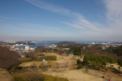 田浦梅林展望台 田浦梅林展望台